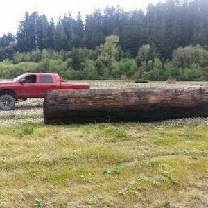 Meet your Posher, Joe